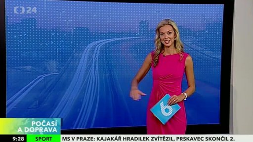 Zpravodajský servis