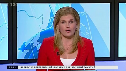 Zpravodajský servis