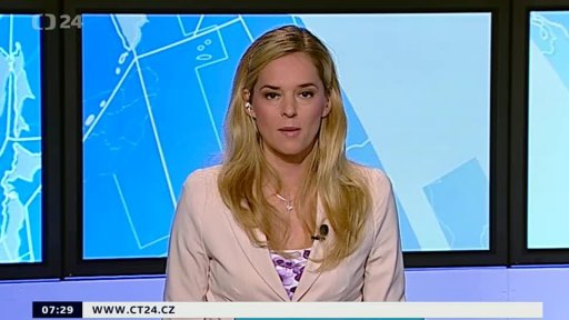 Zpravodajský servis