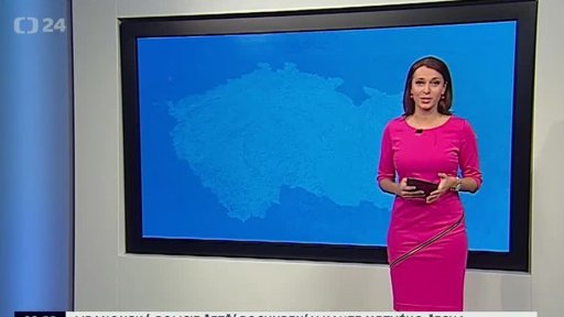 Zpravodajský servis