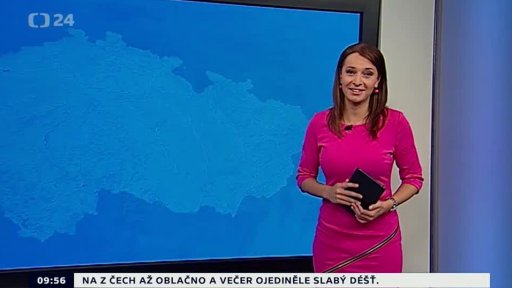 Zpravodajský servis