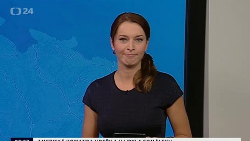 Zpravodajský servis