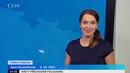 Zpravodajský servis