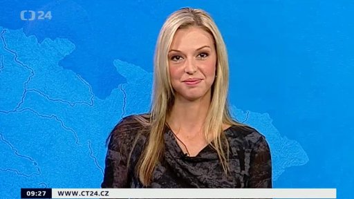 Zpravodajský servis