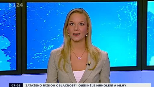 Zpravodajský servis