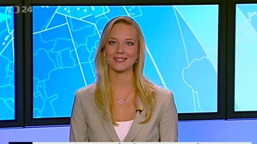 Zpravodajský servis