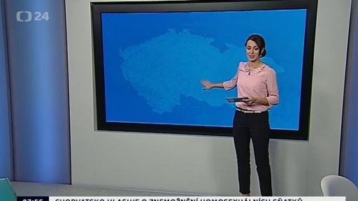 Zpravodajský servis