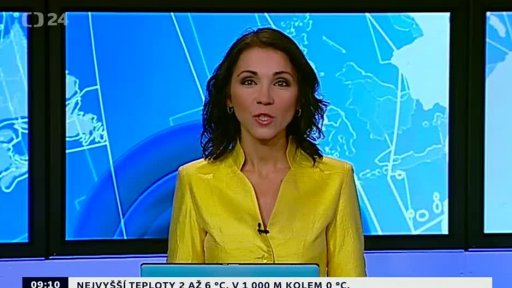 Zpravodajský servis