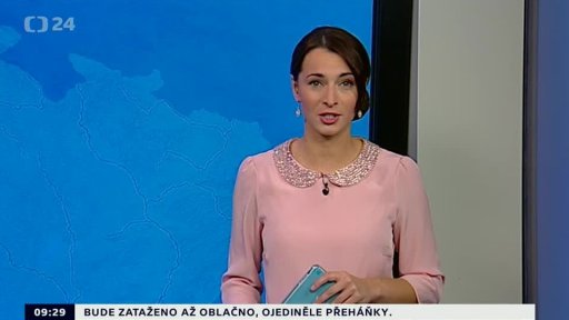 Zpravodajský servis