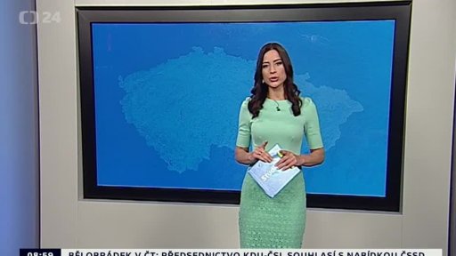 Zpravodajský servis