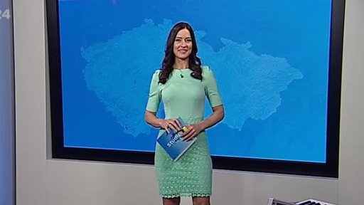 Zpravodajský servis