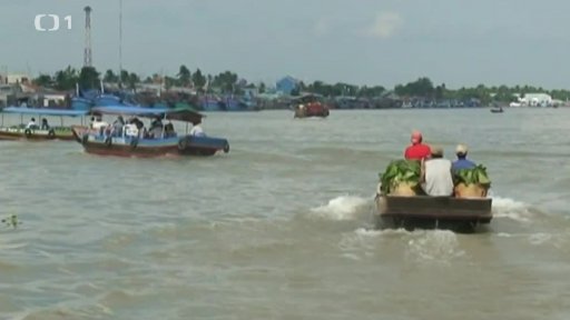 Delta Mekongu