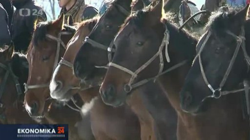 Chov koní v Kyrgyzstánu