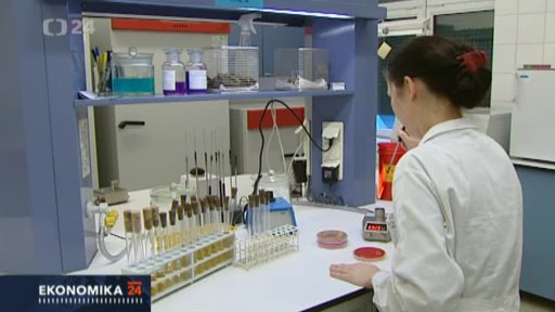 Problémový obchod s masem