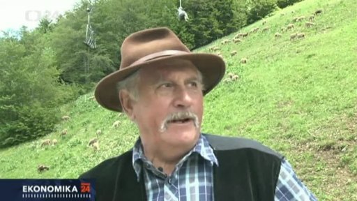 Francouzská tradice