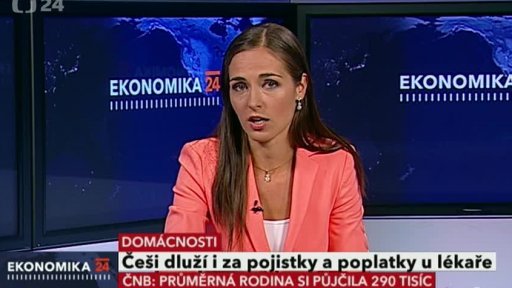 Dluhy českých domácností