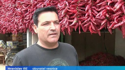 Srbsko: sklizeň paprik