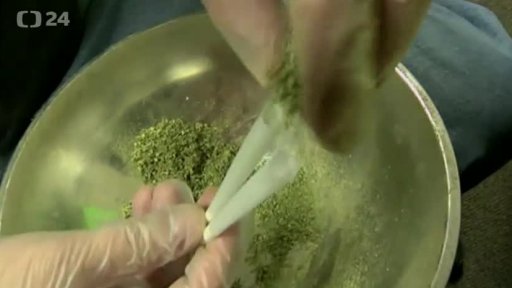 Colorado: legalizace marihuany