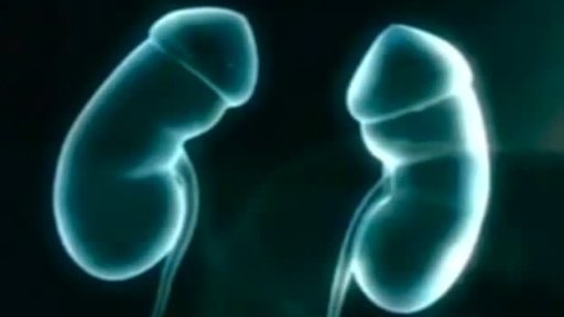 Německo zavádí třetí pohlaví