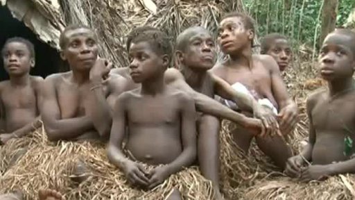 Česká pomoc gorilám