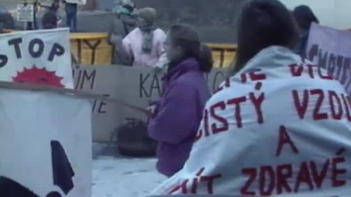 Protesty proti Temelínu (1993)