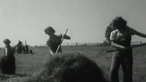 Mládežnická rostlinářská četa (1959)