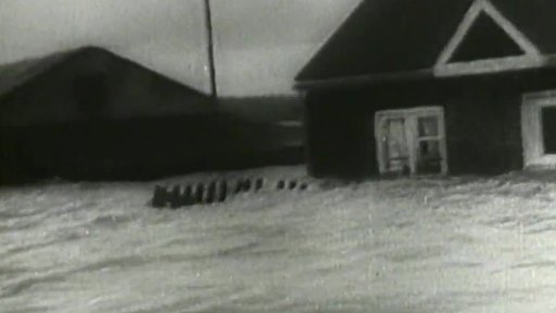 Uragán v Severní Americe (1954)