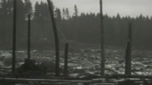 Vichřice v Evropě - škody (1976)