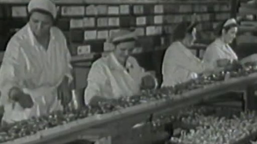 Děčínské čokoládovny - mechanizace výroby (1953)