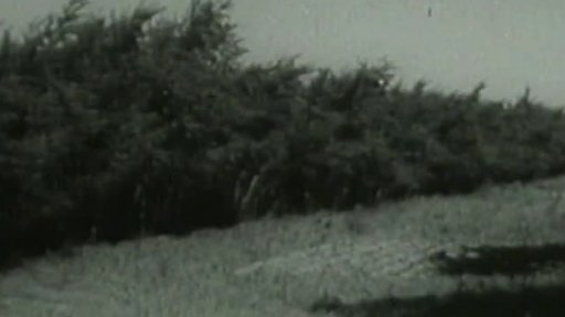 Písečný vítr na poušti v Číně (1962)