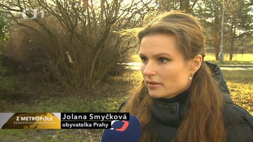 Smrt labutí při ohňostroji