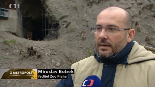 Tajemná štola v zoo