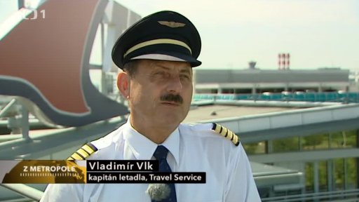 Ptáci ohrožují letadla