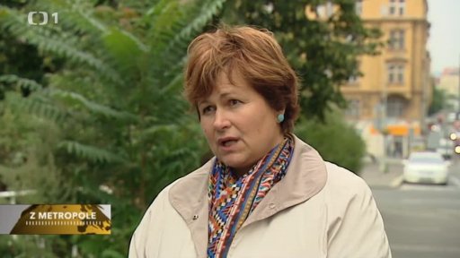 Boj proti nákupnímu centru Stromovka