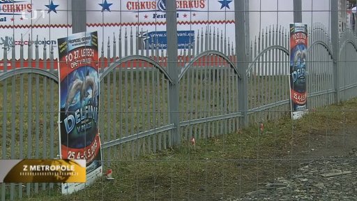 Zrušená delfíní šou nevrací vstupné