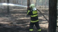 Policie odložila vyšetřování požáru lesa u Bzence