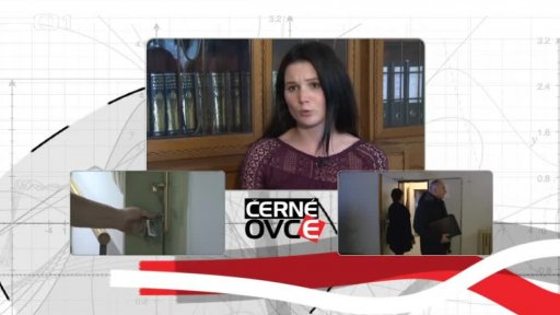 Sociální šetření