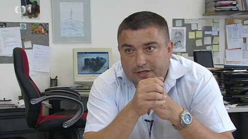 Mají se gorily stěhovat z Pražské ZOO?