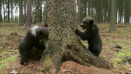 Vycházky s Václavem Chaloupkem: Duben