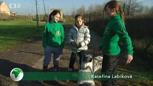 Kde zvířata pomáhají: Záchranářské border kolie