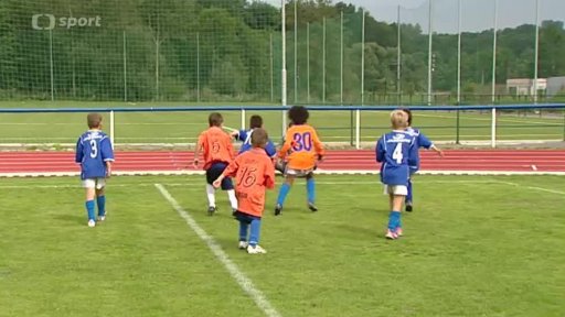 O pohár starosty města Vlašim 2013