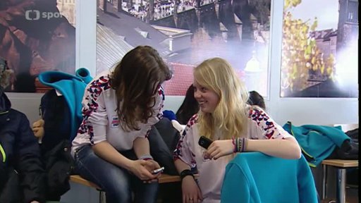 Evropský olympijský festival mládeže 2013