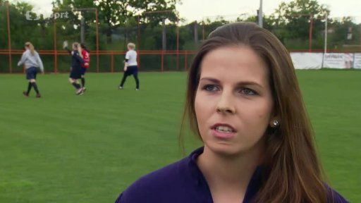 Softball na profesionální úrovni