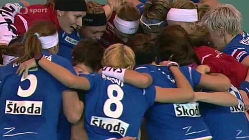 Florbal na profesionální úrovni