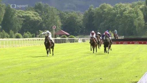 Překážkové dostihy