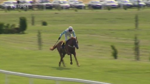 Překážkové dostihy