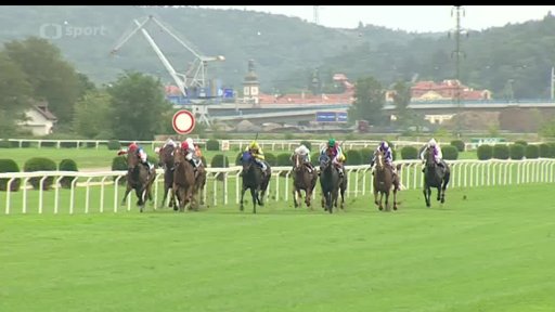 Rovinové dostihy Velká Chuchle