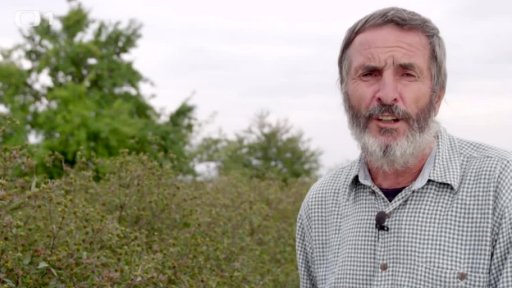 Pěstování a zpracování bylin