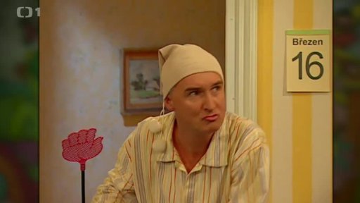 Alotria Michala Nesvadby 1. - Moucha