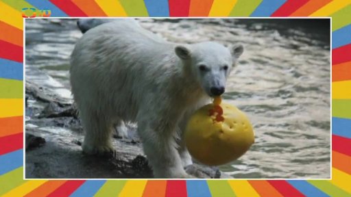 Svatomartinské posvícení v Zoo Vyškov; Den diabetu v ZOO Brno; Tip divačky: drakiáda a lampionový průvod v Tuháni